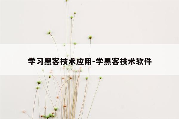 学习黑客技术应用-学黑客技术软件