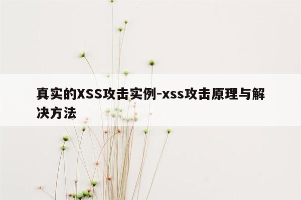 真实的XSS攻击实例-xss攻击原理与解决方法