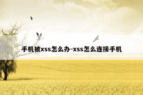 手机被xss怎么办-xss怎么连接手机