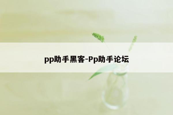 pp助手黑客-Pp助手论坛