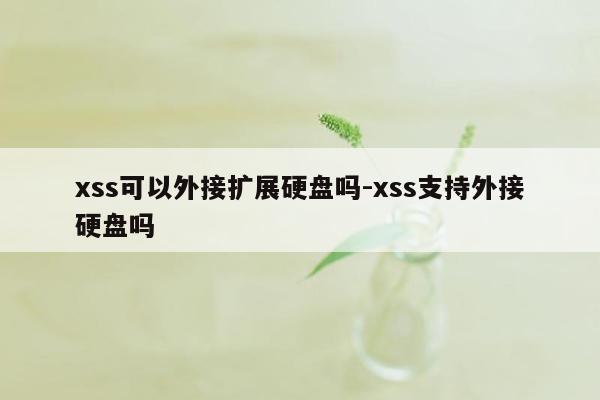 xss可以外接扩展硬盘吗-xss支持外接硬盘吗