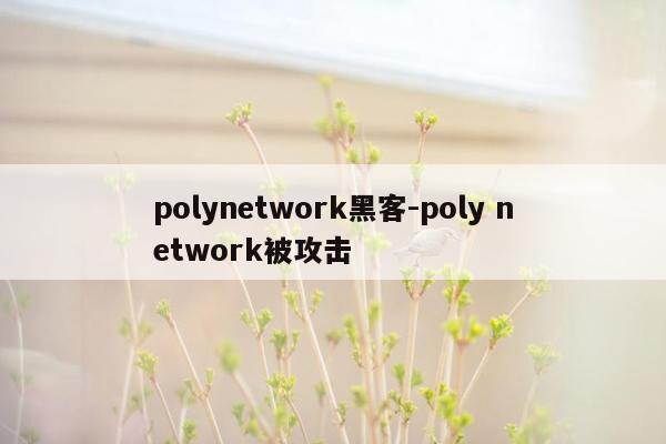 polynetwork黑客-poly network被攻击