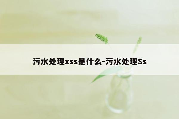 污水处理xss是什么-污水处理Ss