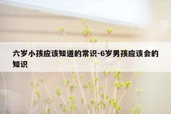 六岁小孩应该知道的常识-6岁男孩应该会的知识