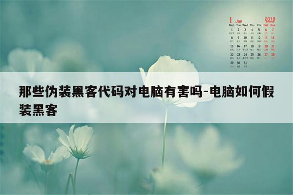 那些伪装黑客代码对电脑有害吗-电脑如何假装黑客