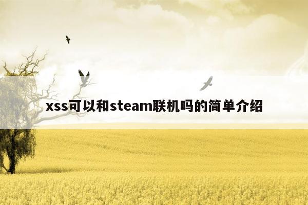 xss可以和steam联机吗的简单介绍