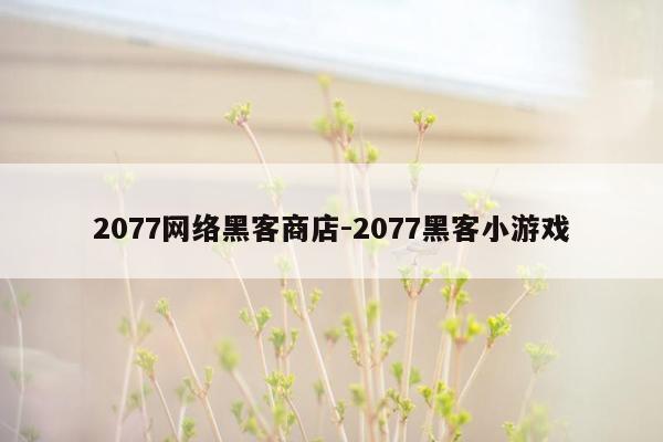 2077网络黑客商店-2077黑客小游戏