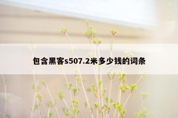 包含黑客s507.2米多少钱的词条