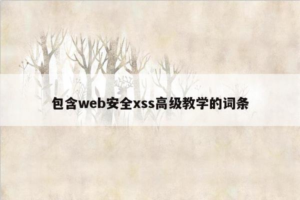 包含web安全xss高级教学的词条