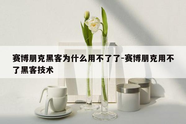 赛博朋克黑客为什么用不了了-赛博朋克用不了黑客技术