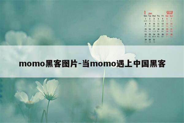 momo黑客图片-当momo遇上中国黑客