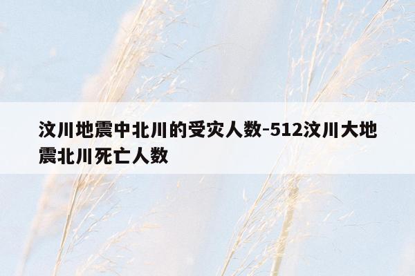 汶川地震中北川的受灾人数-512汶川大地震北川死亡人数