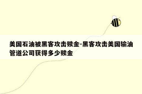 美国石油被黑客攻击赎金-黑客攻击美国输油管道公司获得多少赎金