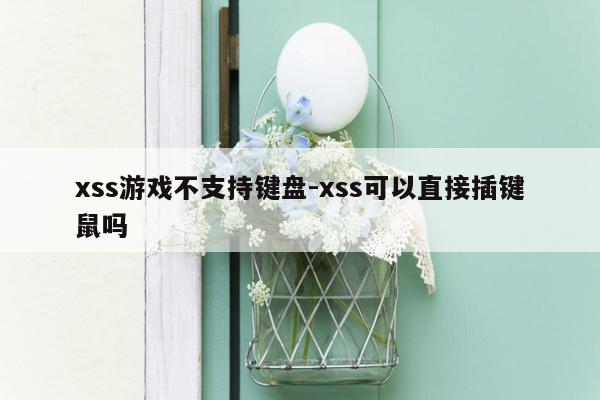 xss游戏不支持键盘-xss可以直接插键鼠吗