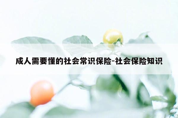 成人需要懂的社会常识保险-社会保险知识