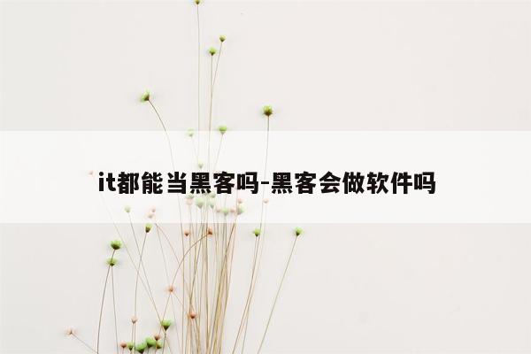 it都能当黑客吗-黑客会做软件吗