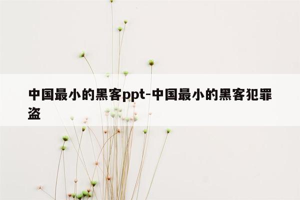 中国最小的黑客ppt-中国最小的黑客犯罪盗