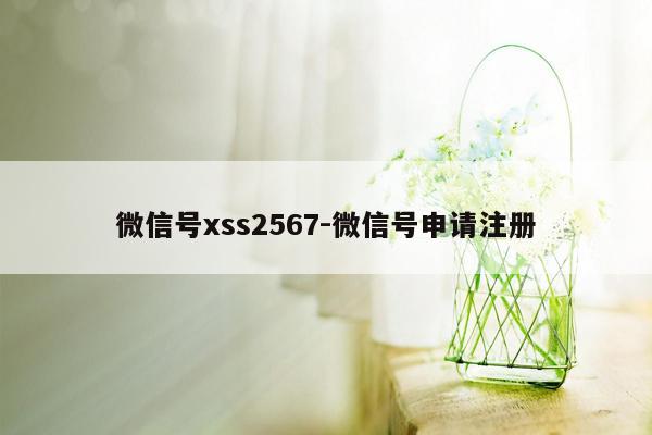 微信号xss2567-微信号申请注册