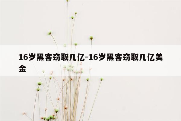 16岁黑客窃取几亿-16岁黑客窃取几亿美金