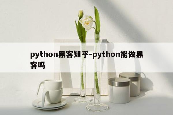 python黑客知乎-python能做黑客吗