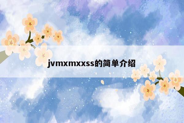 jvmxmxxss的简单介绍