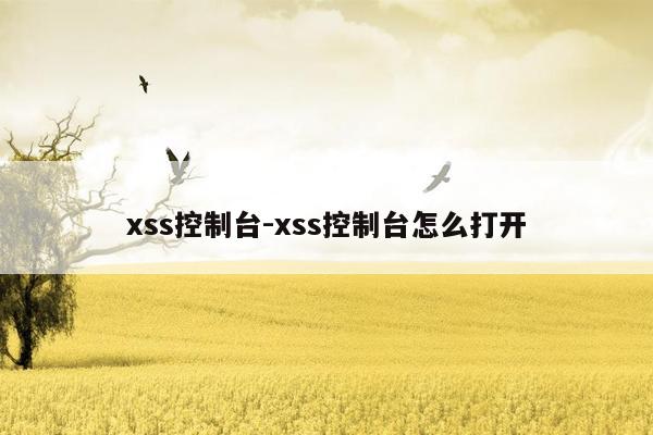 xss控制台-xss控制台怎么打开