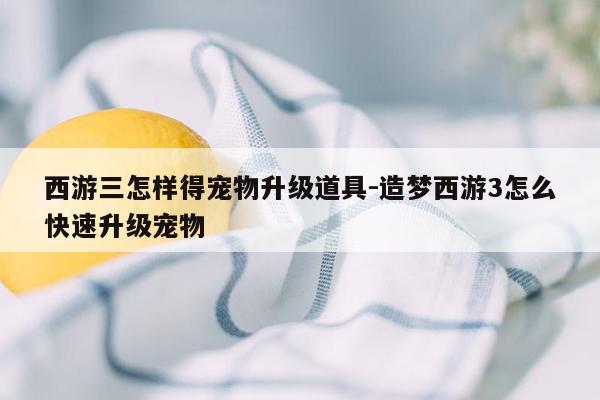 西游三怎样得宠物升级道具-造梦西游3怎么快速升级宠物