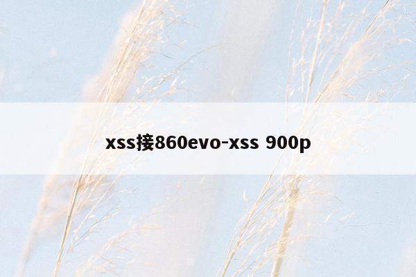 xss接860evo-xss 900p