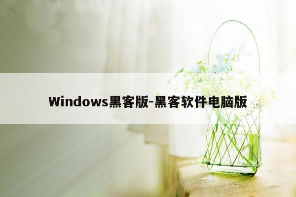 Windows黑客版-黑客软件电脑版