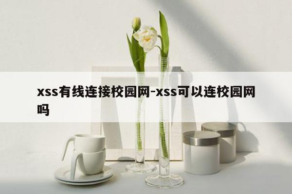 xss有线连接校园网-xss可以连校园网吗