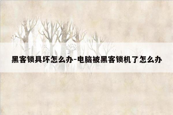 黑客锁具坏怎么办-电脑被黑客锁机了怎么办