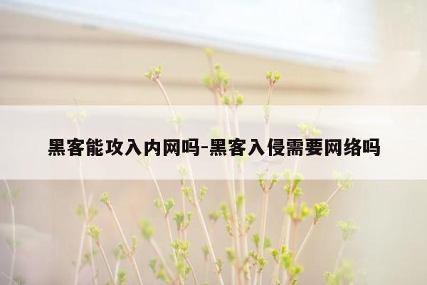 黑客能攻入内网吗-黑客入侵需要网络吗