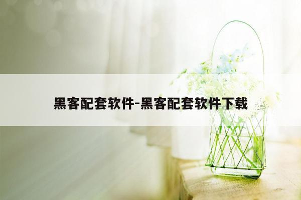 黑客配套软件-黑客配套软件下载