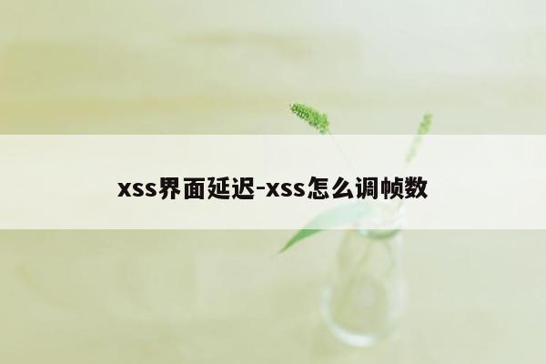 xss界面延迟-xss怎么调帧数