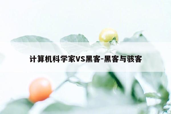 计算机科学家VS黑客-黑客与骇客