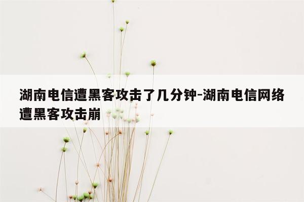 湖南电信遭黑客攻击了几分钟-湖南电信网络遭黑客攻击崩