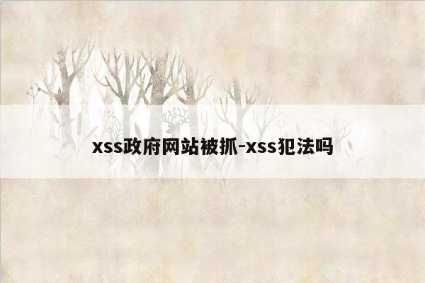 xss政府网站被抓-xss犯法吗