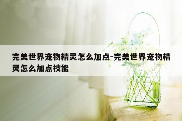 完美世界宠物精灵怎么加点-完美世界宠物精灵怎么加点技能