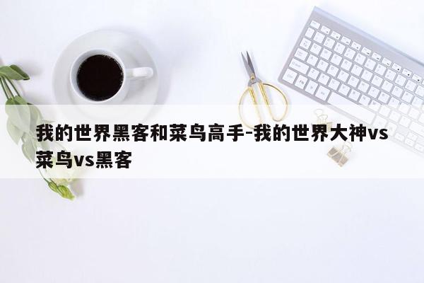 我的世界黑客和菜鸟高手-我的世界大神vs菜鸟vs黑客