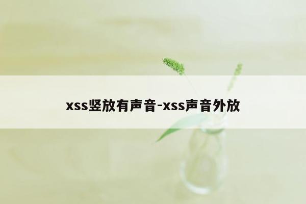 xss竖放有声音-xss声音外放