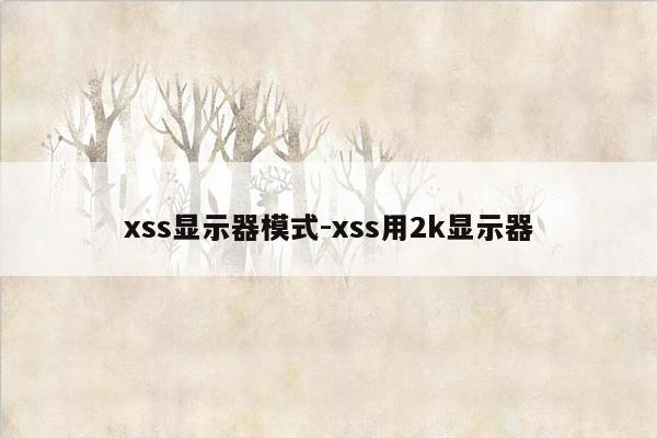 xss显示器模式-xss用2k显示器