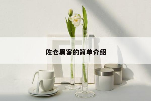 佐仓黑客的简单介绍