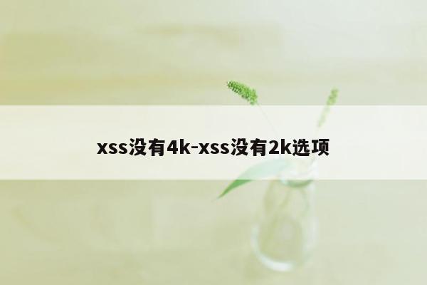 xss没有4k-xss没有2k选项