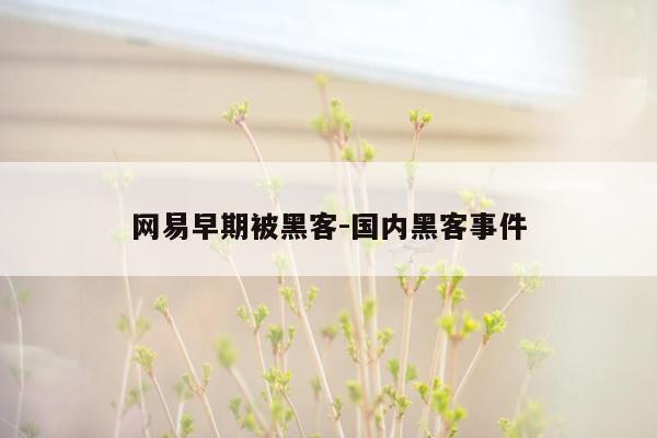 网易早期被黑客-国内黑客事件