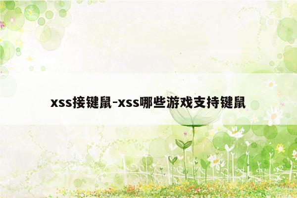 xss接键鼠-xss哪些游戏支持键鼠