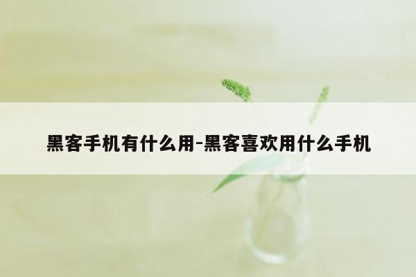 黑客手机有什么用-黑客喜欢用什么手机