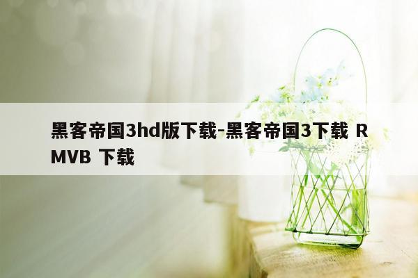 黑客帝国3hd版下载-黑客帝国3下载 RMVB 下载