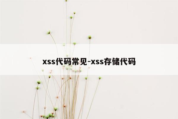 xss代码常见-xss存储代码