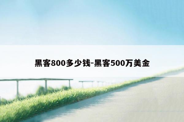 黑客800多少钱-黑客500万美金