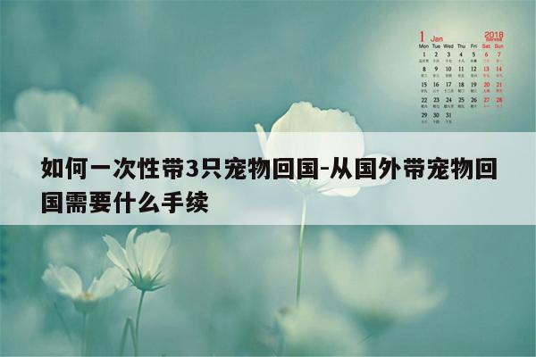 如何一次性带3只宠物回国-从国外带宠物回国需要什么手续